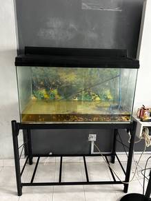 Akuarium ikan