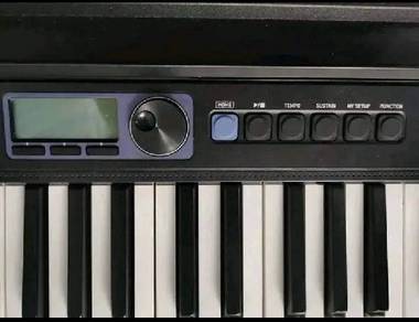 Casiotone Piano keyboard 