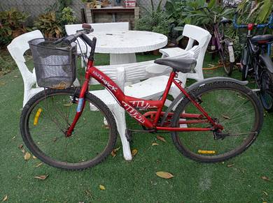 bicycle dewasa