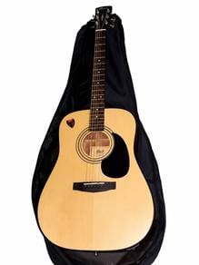 Guitar Cort ad810e op