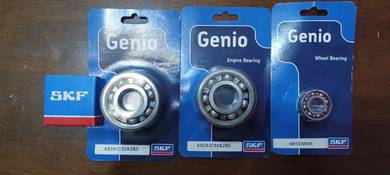 Bearing Enjin EX5