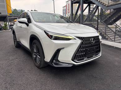 Lexus NX 250 LUXURY in City Centre, KUL