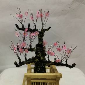 Cherry Blossom Tachibachibana, Cocoon Red
