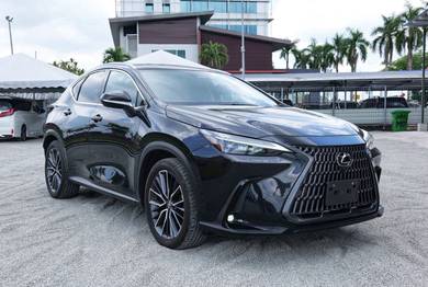 Lexus NX 250 LUXURY in Kuching, SWK