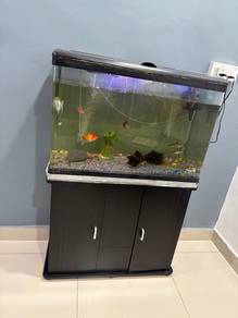 Aquarium sekali ikan yg ada