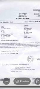 Residential Land in Pekan, PHG