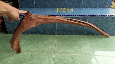 Kayu aquarium driftwood curve panjang 35inci