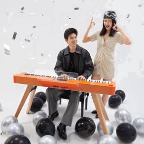 Hailun PIANOVA HD-300 Portabble Digital Piano