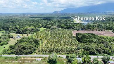 Agricultural Land in Kuching, SWK