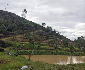 Agricultural Land in Bentong, PHG