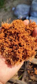 Sabut halus atau cocopeat guni besar 6433