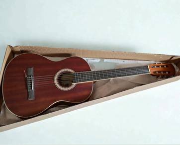 Classical Guitar With Pickup (modified)