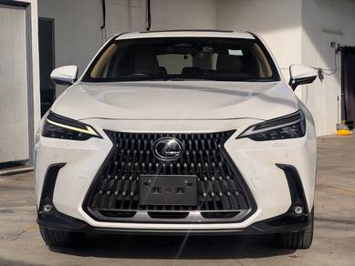 Lexus NX 250 LUXURY in Cheras, SGR