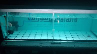 aquarium 4ft stand custom 
