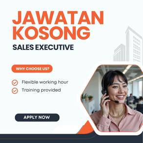 Sales Executive
