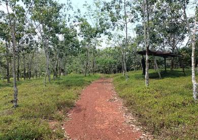 Agricultural Land in Segamat, JHR