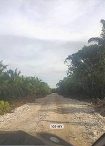 Agricultural Land in Klang, SGR