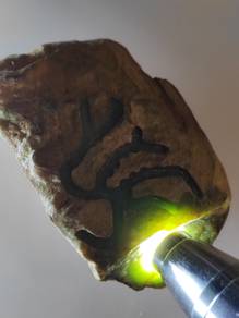 Ice Green Natural Jadeite Jade Rough Stone Type A