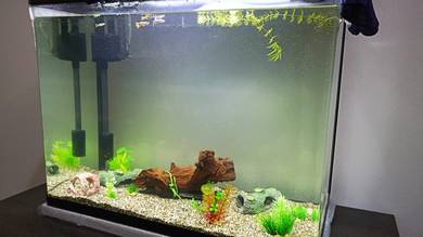 Aquarium Acrylic 85 Litre