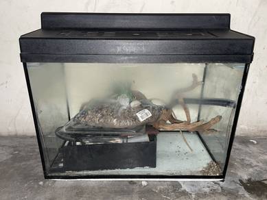 Aquarium full set