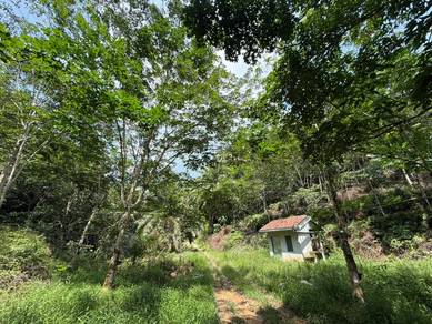 Agricultural Land in Slim River, PRK