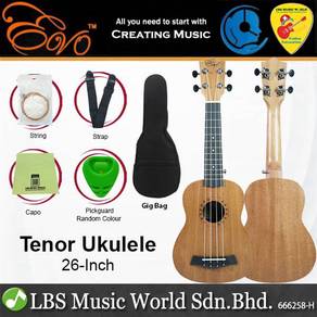 EVO Concert Ukulele Package