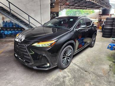 Lexus NX 250 LUXURY in Cheras, KUL