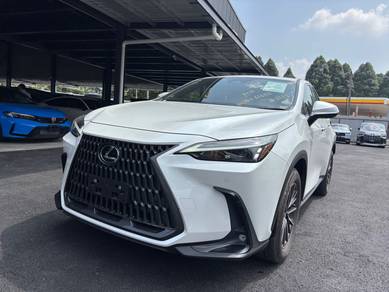 2022 Lexus NX 250 LUXURY