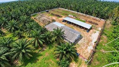 Agricultural Land in Kuala Selangor, SGR