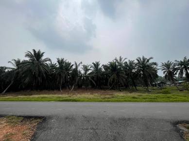 Agricultural Land in Ayer Baloi, JHR