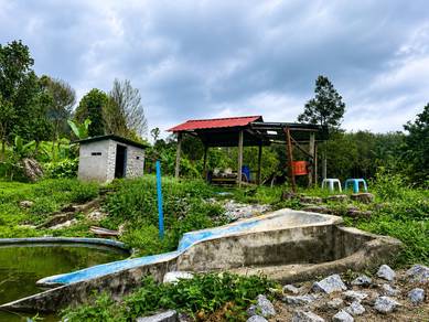 Agricultural Land in Kuala Kangsar, PRK