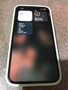 Mint Iphone 13 pro 256 Gb