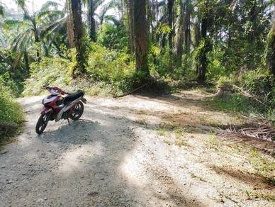 Agricultural Land in Batu Kurau, PRK