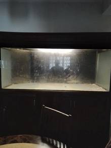 aquarium 