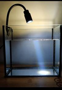 Akuarium Kaca 20cm + Lampu USB (Baru)
