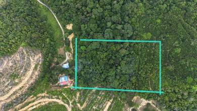 Agricultural Land in Kuala Pilah, NSN