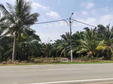 Agricultural Land in Merlimau, MLK