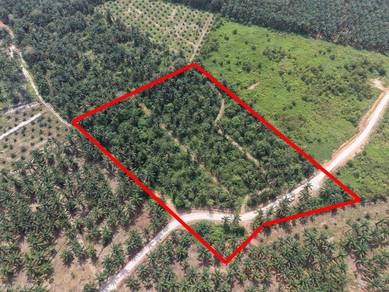 Agricultural Land in Yong Peng, JHR