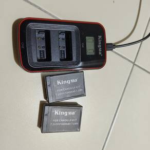 Camera battery and charger 