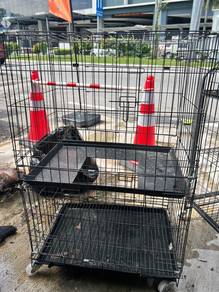 Sangkar Kucing 2 Level