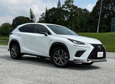 Lexus NX 300 F SPORT in Klang, SGR