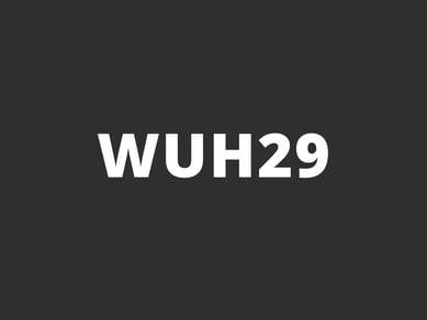 WUH29