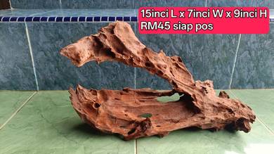 kayu hiasan airplant dan mini garden decor