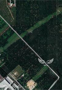 Industrial Land in Jeram, SGR