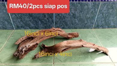 kayu aquarium Channa tank set pair 2pcs