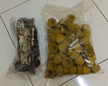 甘文烟 kemenyan asli