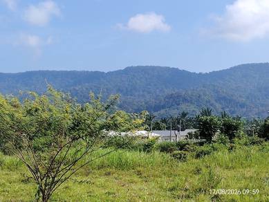 Agricultural Land in Kota Tinggi, JHR
