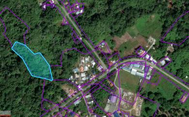 Agricultural Land in Kuching, SWK