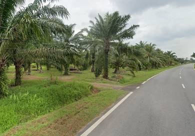 Agricultural Land in Sungai Rambai, MLK