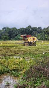 Agricultural Land in Parit, PRK